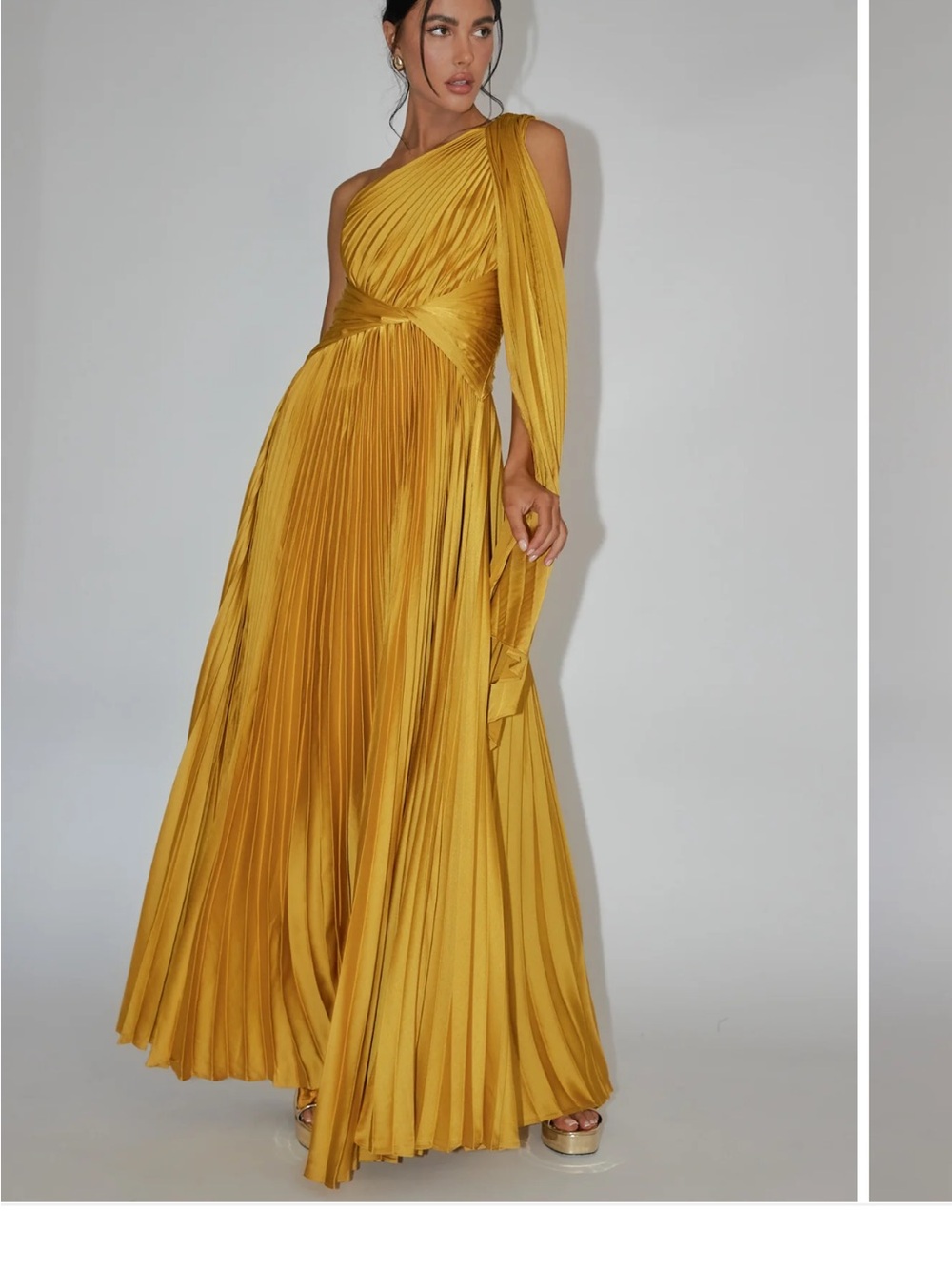 Selfie Leslie Laxmi Accordion Pleat Maxi Dress – Size L